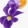 ATHALIA 75ML - Image 4