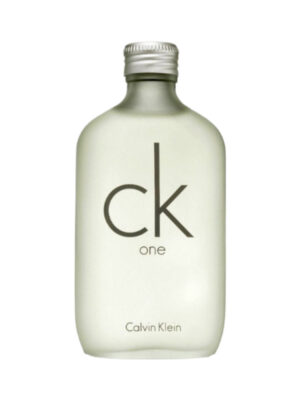 CK One Eau de Toilette 100ml