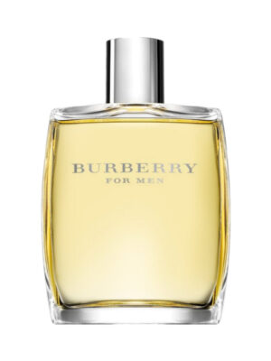 Men Eau de Toilette 100ml