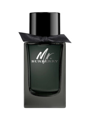 Mr. Burberry Eau de Parfum 100ml