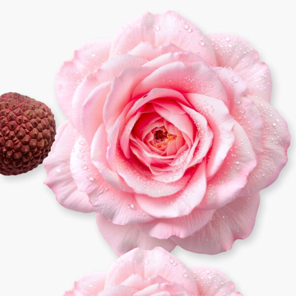 DELINA LA ROSÉE  75ML - Image 4