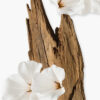 VALAYA  75ML - Image 4