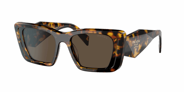 Prada PR08YS Cat Eye Sunglasses in Brown