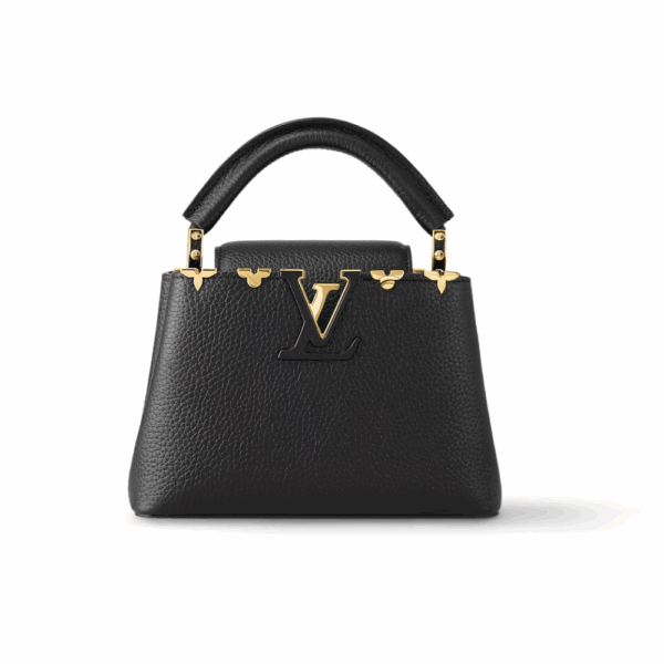 LOUIS VUITTON CAPUCINES LEAF MINI PURSE - BLACK