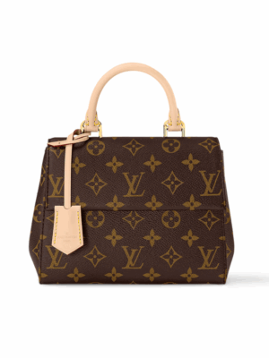 LOUIS VUITTON CLUNY MINI BAG - BROWN