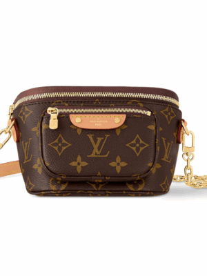 LOUIS VUITTON MINI MONOGRAM BUMBAG - BROWN