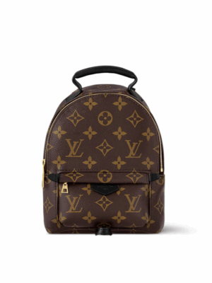 LOUIS VUITTON PALM SPRINGS MINI BACKPACK - BROWN