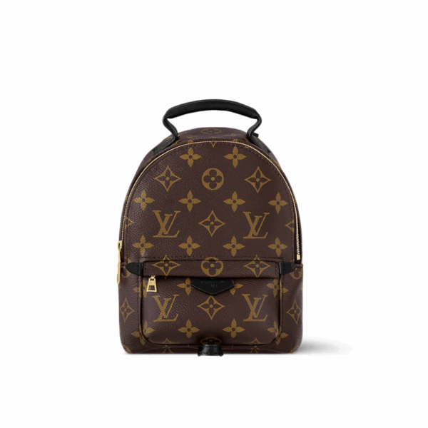 LOUIS VUITTON PALM SPRINGS MINI BACKPACK - BROWN