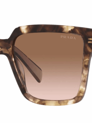Prada PR24ZSF Oversized Sunglasses in Tortoise Powder