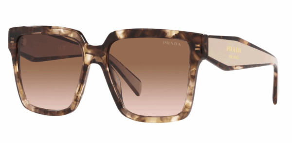 Prada PR24ZSF Oversized Sunglasses in Tortoise Powder